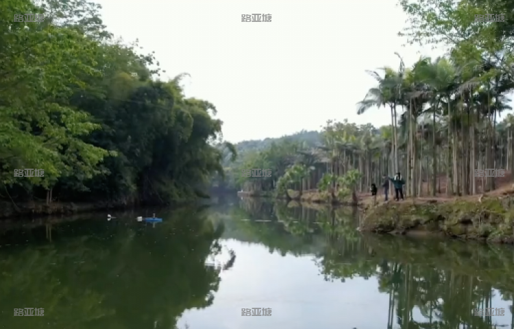 自贡拓浦路亚俱乐部