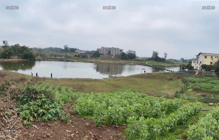 江津猛男一号路亚基地
