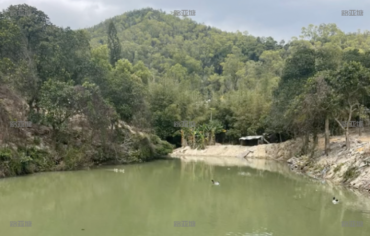 珠海菠萝蜜开心农场