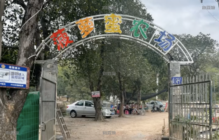 珠海菠萝蜜开心农场