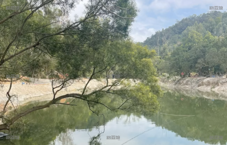 珠海菠萝蜜开心农场