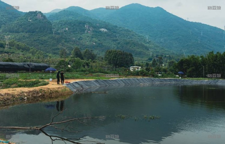 厦门蓝山路亚基地