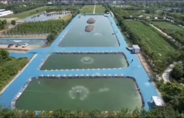 上海崇明花园钓场