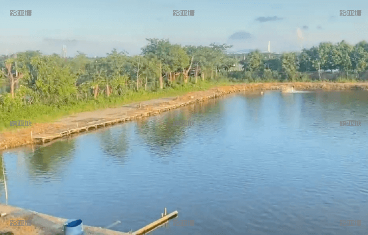 广州大炮海钓场