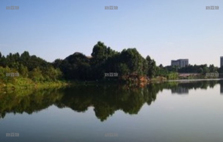 成都晴川路亚基地