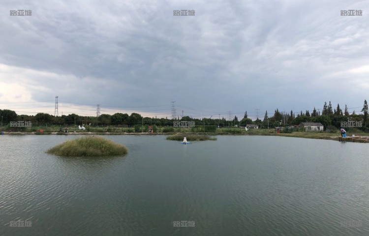上海GT路亚基地