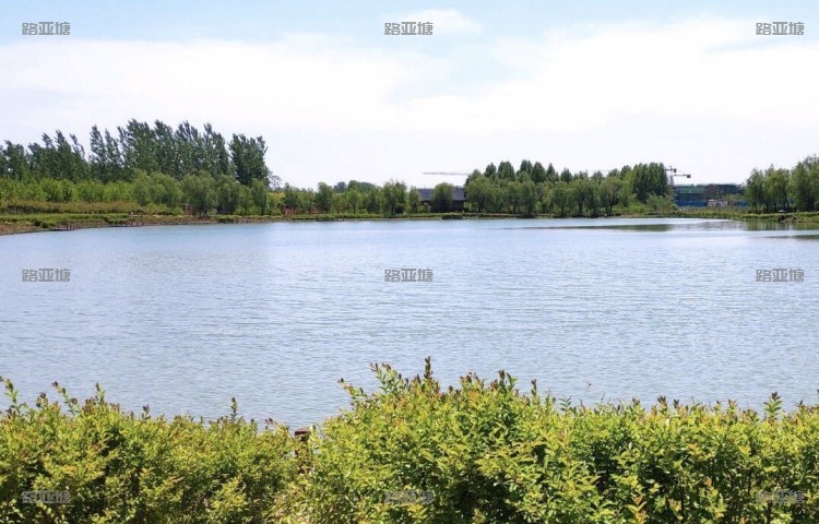 河南许昌鑫地生态垂钓中心