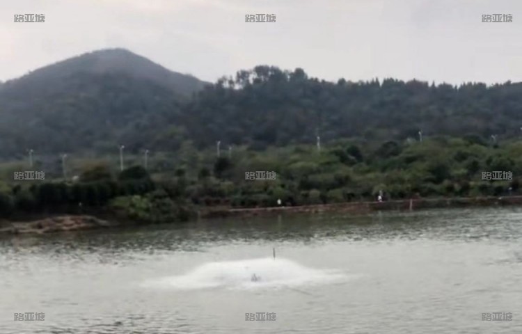 武汉灵泉路亚钓场