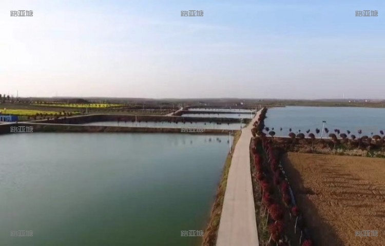 合肥圣水湖畔路亚基地
