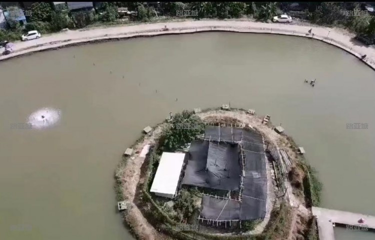 广州莲花山太阳湖高密度垂钓基地