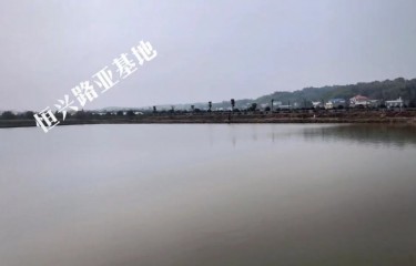 湘潭恒兴路亚基地