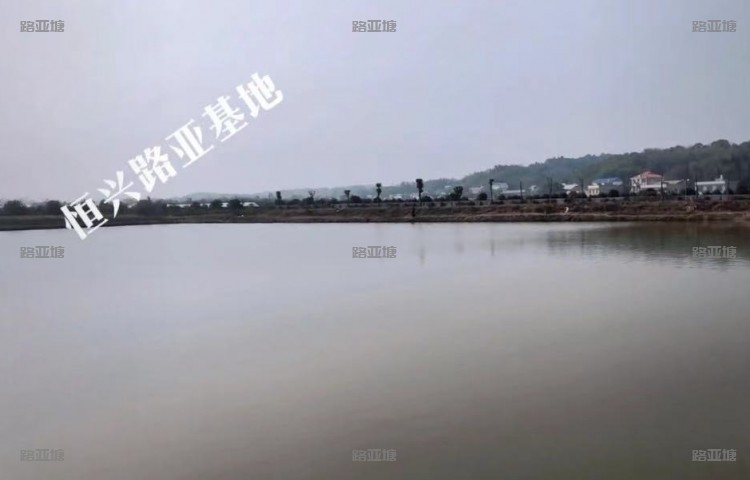 湘潭恒兴路亚基地