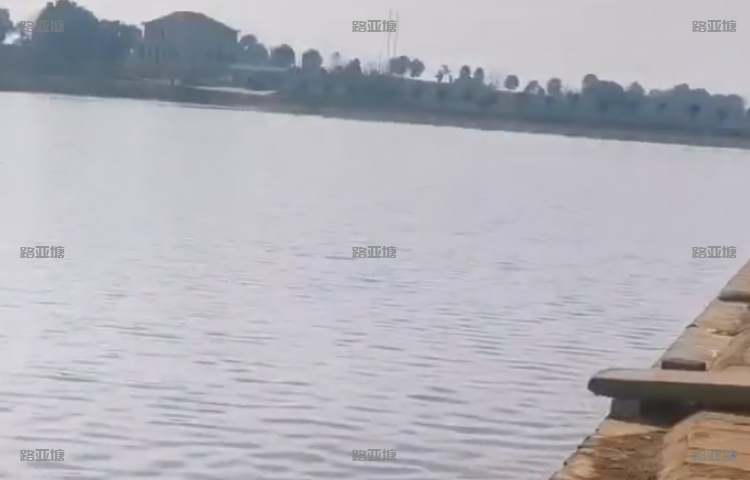 岳阳渔悦路亚基地