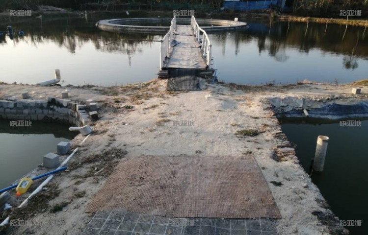 广州七星钓鱼休闲农场
