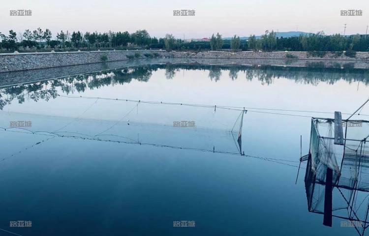 大连山水鱼庄