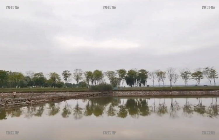 武汉落雁路亚垂钓中心