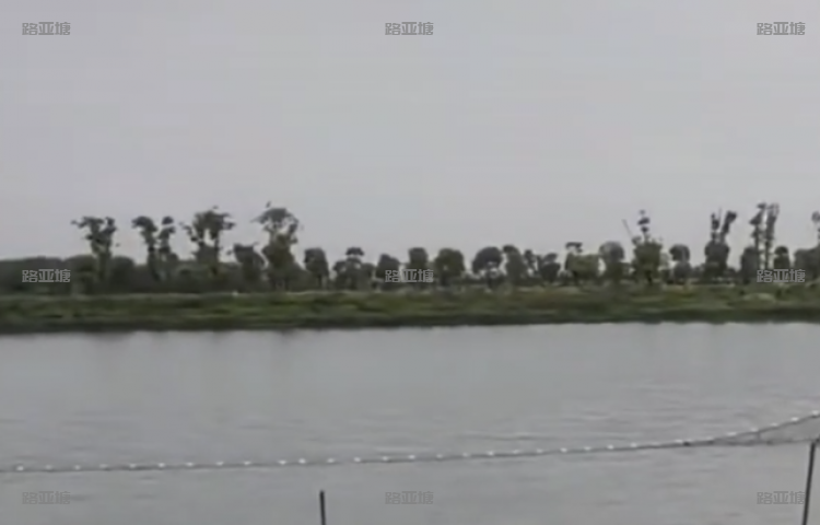 常州鸭子钓场