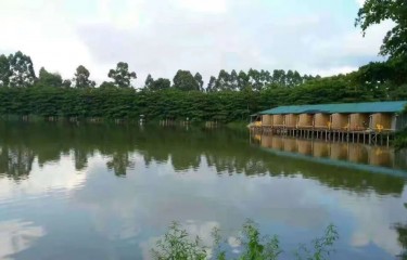惠州粤鲈绿韵路亚基地