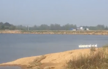 南京象鼻山书库