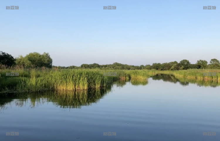 牡丹江路亚基地