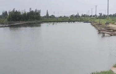 上海天粉俱乐部