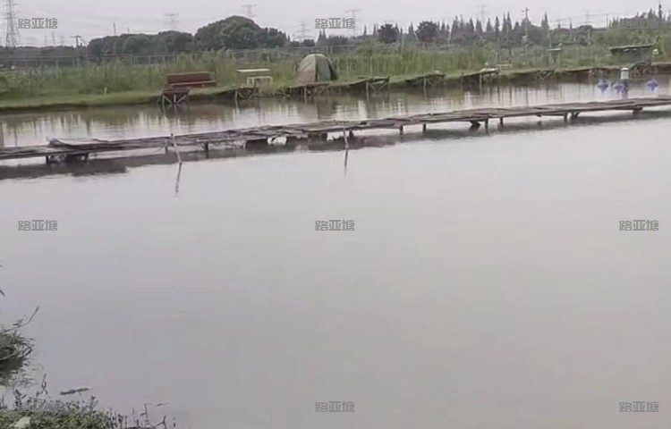上海天粉俱乐部