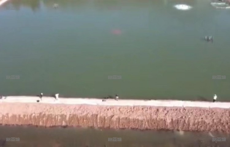滁州琅琊路亚钓场