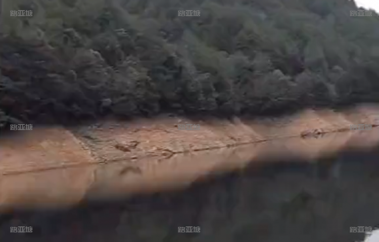 杭州建德童家绿荷塘路亚基地