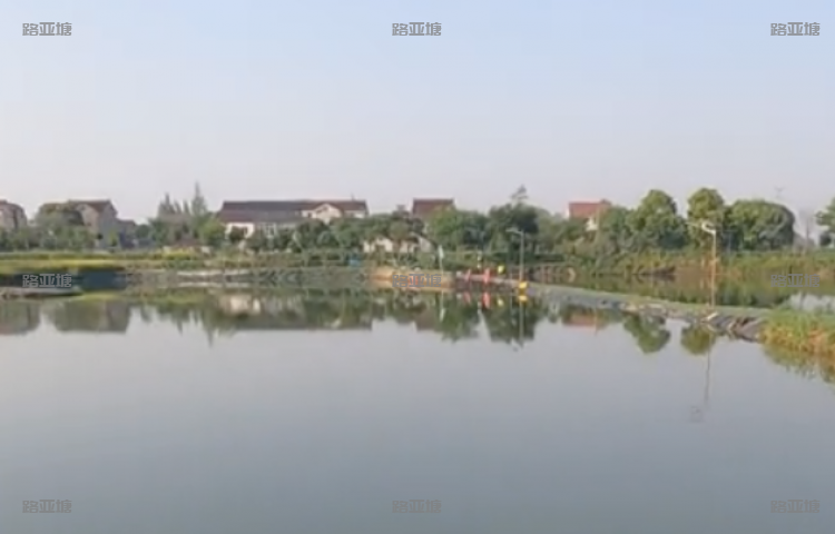 丹阳爆肝路亚基地
