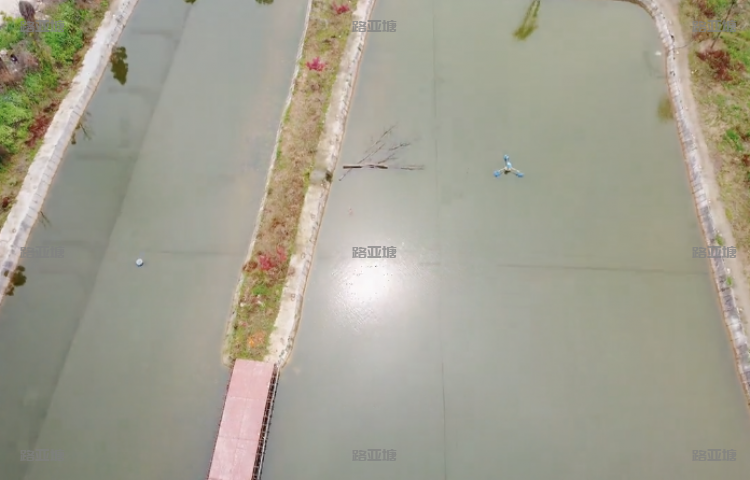 成都开心路亚基地