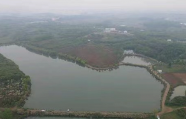 合肥怡和园路亚