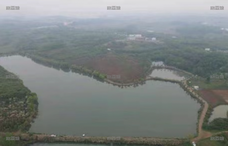 合肥怡和园路亚