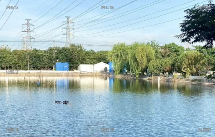 常州蓝色雨路亚基地