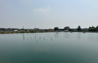 上海天晴路亚