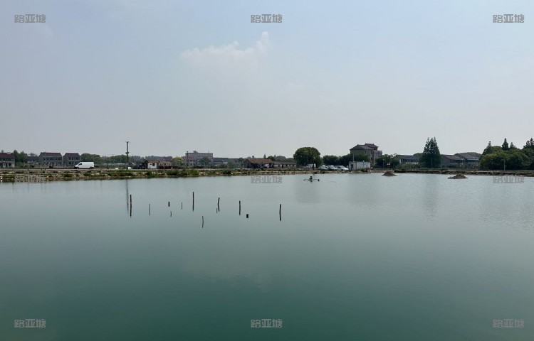 上海天晴路亚