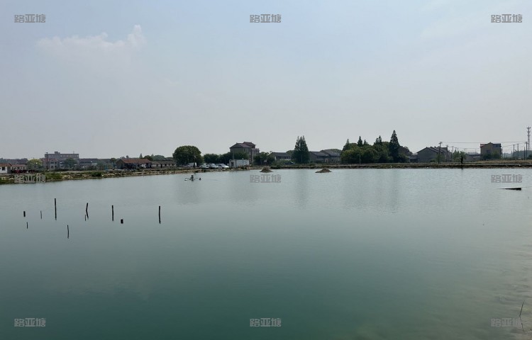 上海天晴路亚