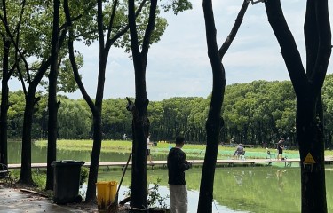 上海嘉年华路亚森林营地
