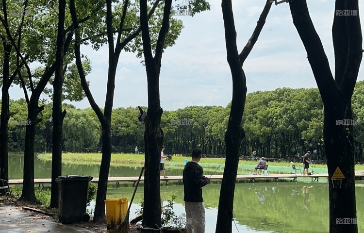 上海嘉年华路亚森林营地