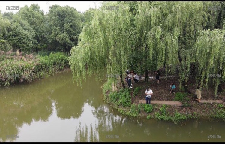 无锡江阴九味钓场