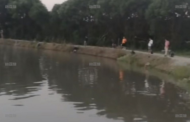 无锡雅趣垂钓休闲中心