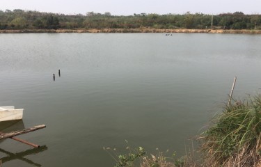 武汉灵泉路亚钓场