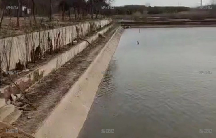 南京路亚方舟钓鱼基地