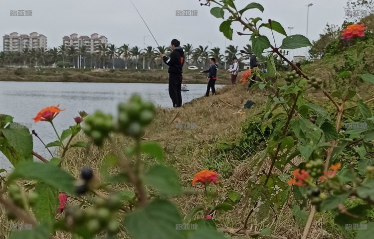 海口西海岸路亚运动中心