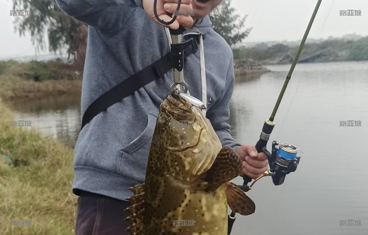 海口西海岸路亚运动中心