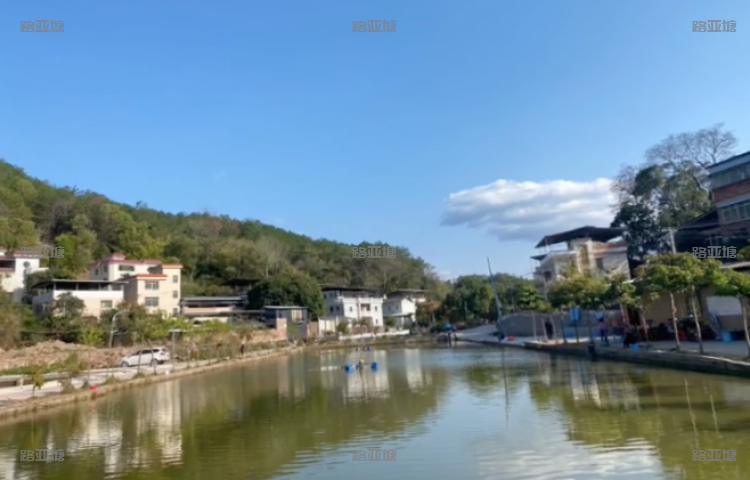 梅州龙丰路亚基地