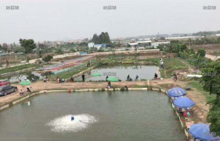 中山渔乐汇钓鱼场