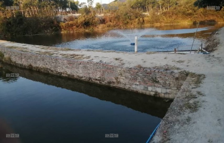广州七星钓鱼休闲农场
