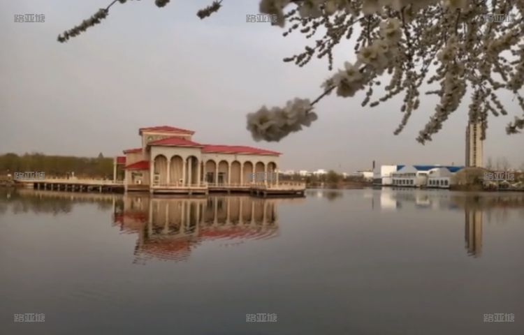 天津天鹅湖路亚基地