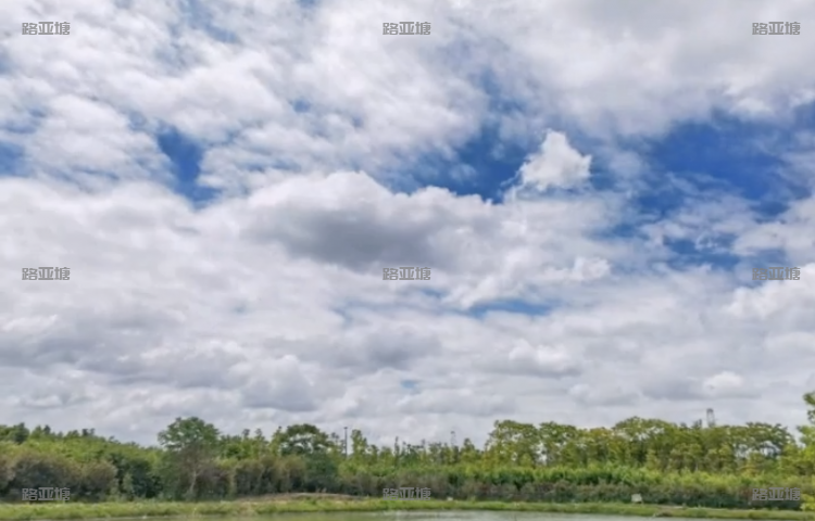 四川青白江凤凰湖路亚基地