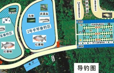 成都特种鱼钓场